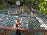 photo taken on 2009 (Miami-Aquarium)