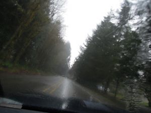 人在旅途,曾經遇到過感動的,不感動的.愛的,不愛的.恨的,不恨的...在人與人之間,在人與物之間,在人與天地之間,有多少是是非非,又有多少誤會和領會!在我的人生結束之前,我把人生的風景入畫,在我的人生結束之後,每一幅美麗的或者醜陋之作,都是我給您百分之百的遺產了.
有人為名而生,有人為利而生,我為生存而生,你呢?