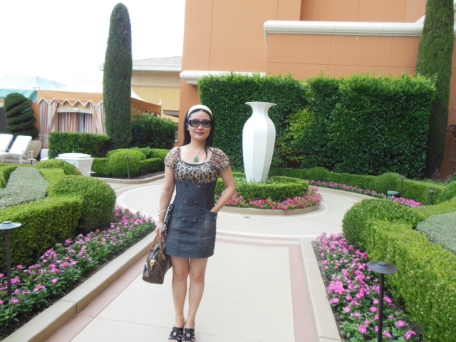 美丽的拉斯维加斯